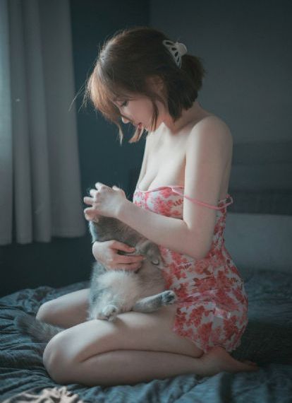 美少女战士的猫